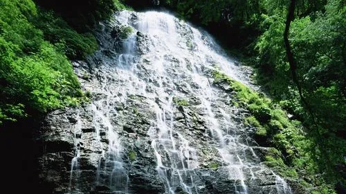 高标准稳定性环保